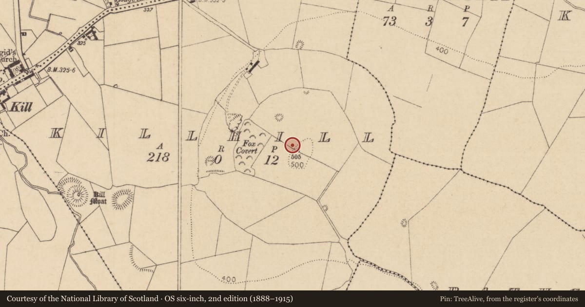 Ordnance Survey six-inch map, 2nd edition (1888–1915) covering the location of Hillfort, Killhill, County Kildare, with a pin at the register's coordinates