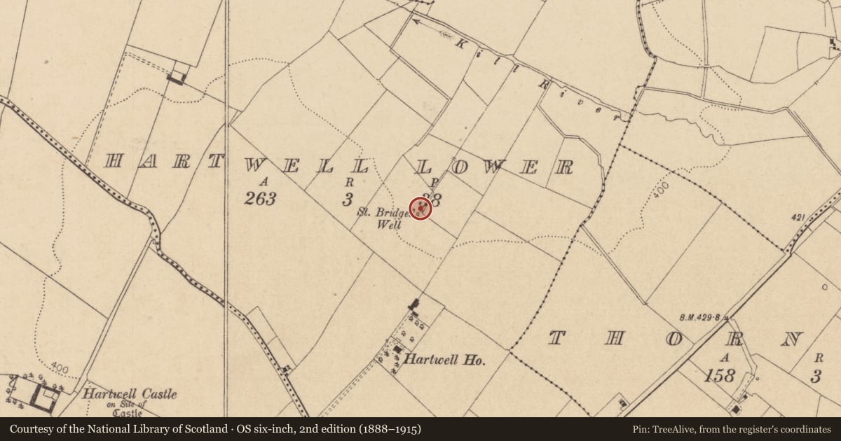 Ordnance Survey six-inch map, 2nd edition (1888–1915) covering the location of Ritual site - holy tree/bush, Hartwell Lower, County Kildare, with a pin at the register's coordinates