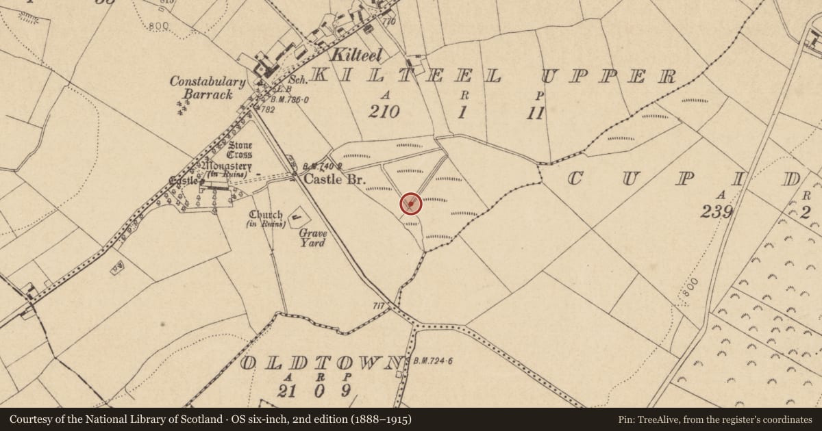 Ordnance Survey six-inch map, 2nd edition (1888–1915) covering the location of Linear earthwork, Cupidstown, Kilteel Upper, County Kildare, with a pin at the register's coordinates
