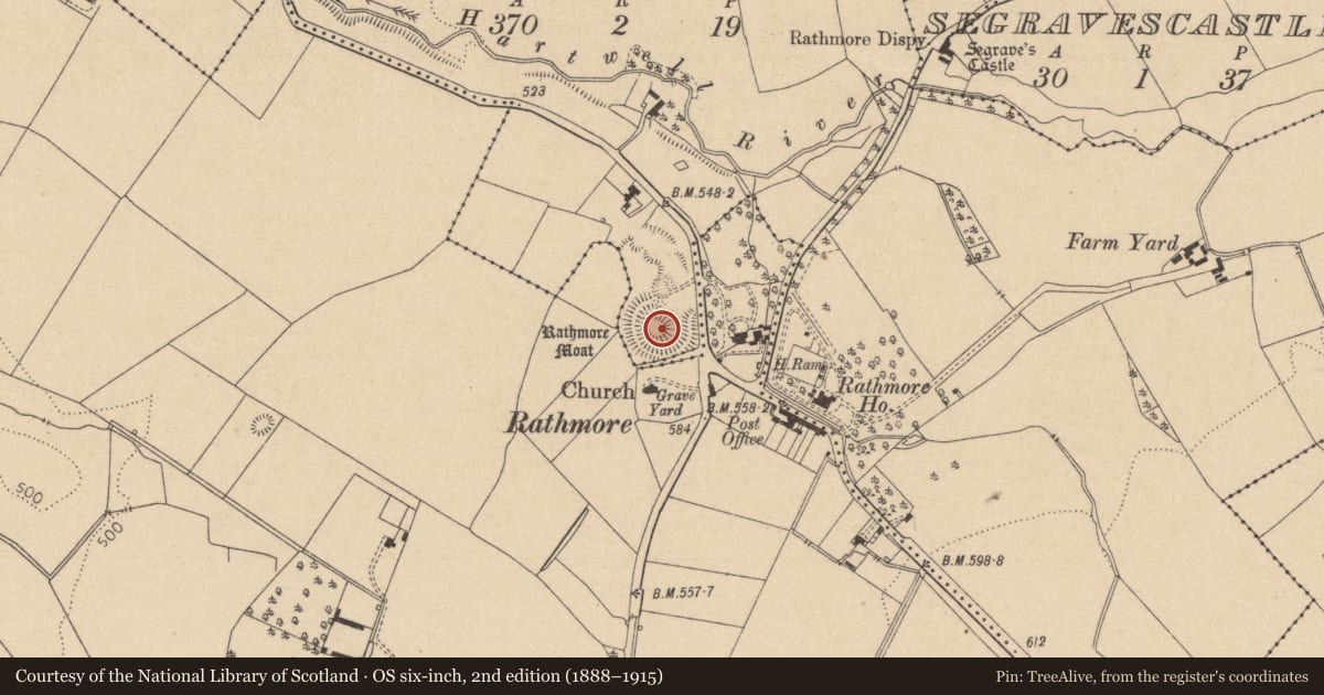 Ordnance Survey six-inch map, 2nd edition (1888–1915) covering the location of Castle - motte and bailey, Rathmore East, County Kildare, with a pin at the register's coordinates