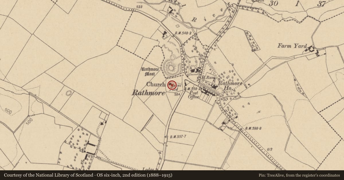Ordnance Survey six-inch map, 2nd edition (1888–1915) covering the location of Cross, Rathmore West, County Kildare, with a pin at the register's coordinates