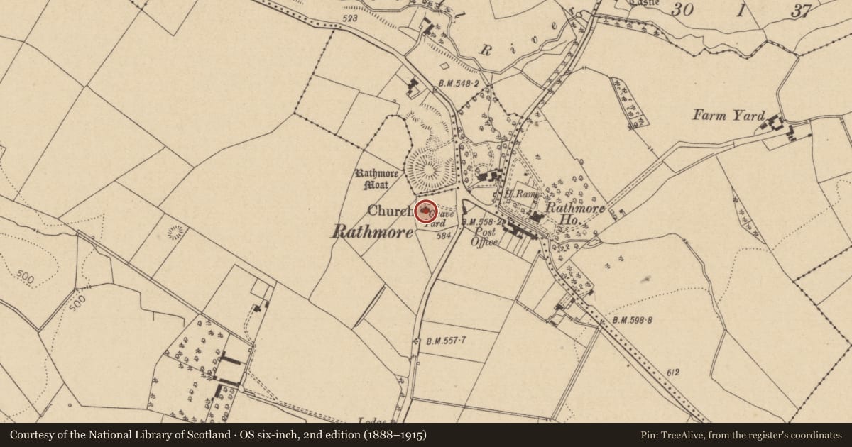 Ordnance Survey six-inch map, 2nd edition (1888–1915) covering the location of Cross, Rathmore West, County Kildare, with a pin at the register's coordinates