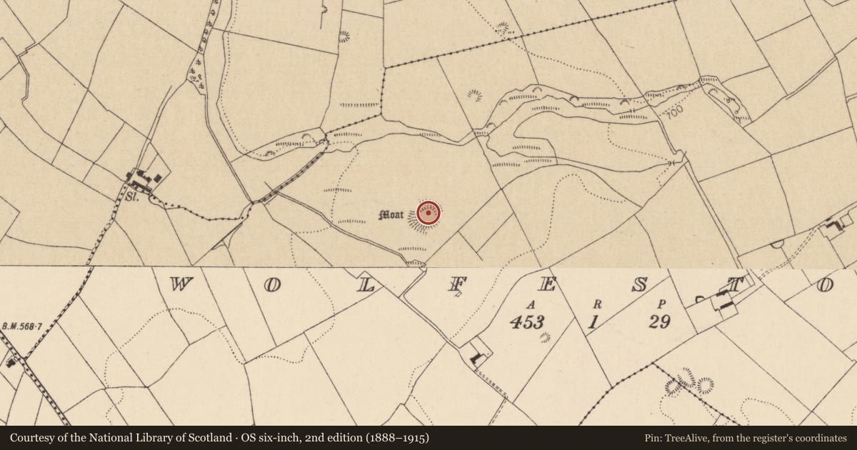 Ordnance Survey six-inch map, 2nd edition (1888–1915) covering the location of Enclosure, Wolfestown, County Kildare, with a pin at the register's coordinates