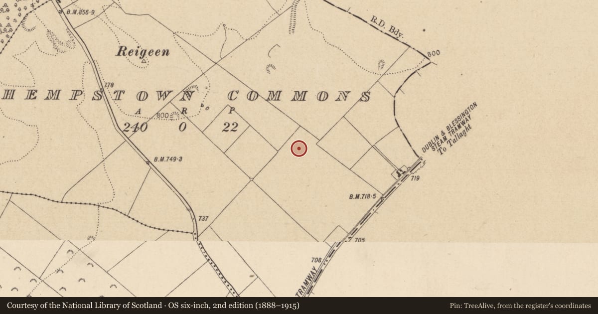 Ordnance Survey six-inch map, 2nd edition (1888–1915) covering the location of Cist, Hempstown Commons, County Kildare, with a pin at the register's coordinates