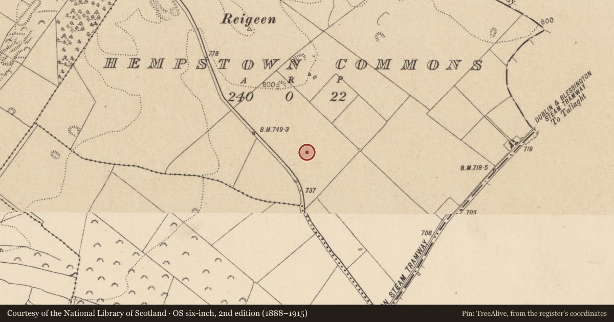 Ordnance Survey six-inch map, 2nd edition (1888–1915) covering the location of Cist, Hempstown Commons, County Kildare, with a pin at the register's coordinates