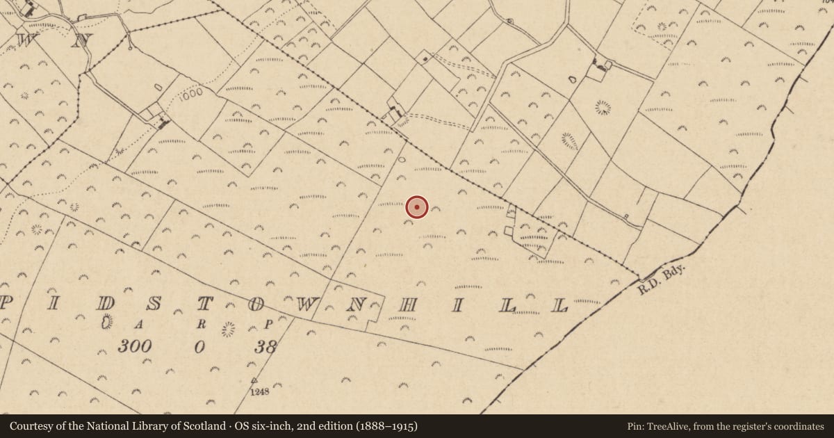 Ordnance Survey six-inch map, 2nd edition (1888–1915) covering the location of Enclosure, Cupidstownhill, County Kildare, with a pin at the register's coordinates