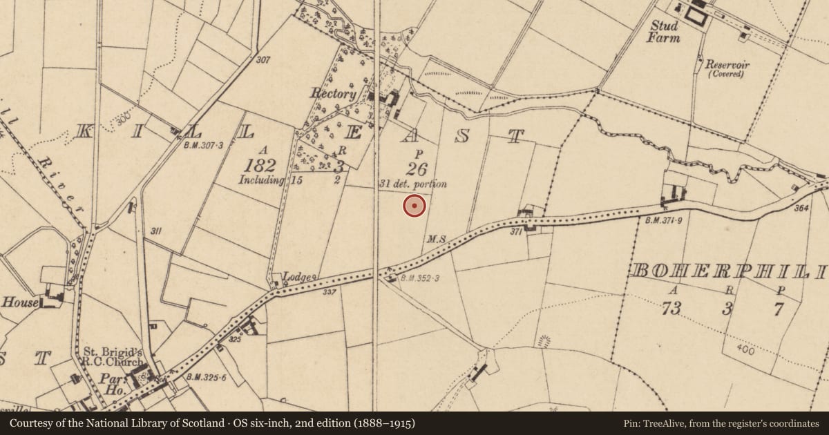 Ordnance Survey six-inch map, 2nd edition (1888–1915) covering the location of Flat cemetery, Kill East, County Kildare, with a pin at the register's coordinates