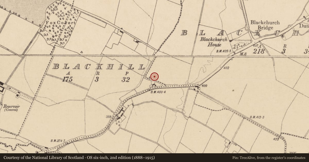 Ordnance Survey six-inch map, 2nd edition (1888–1915) covering the location of Excavation - miscellaneous, Blackchurch, County Kildare, with a pin at the register's coordinates