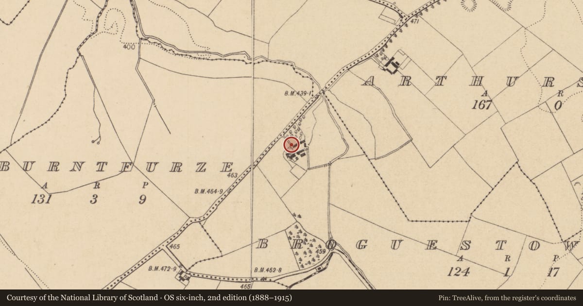 Ordnance Survey six-inch map, 2nd edition (1888–1915) covering the location of Architectural fragment, Broguestown, County Kildare, with a pin at the register's coordinates