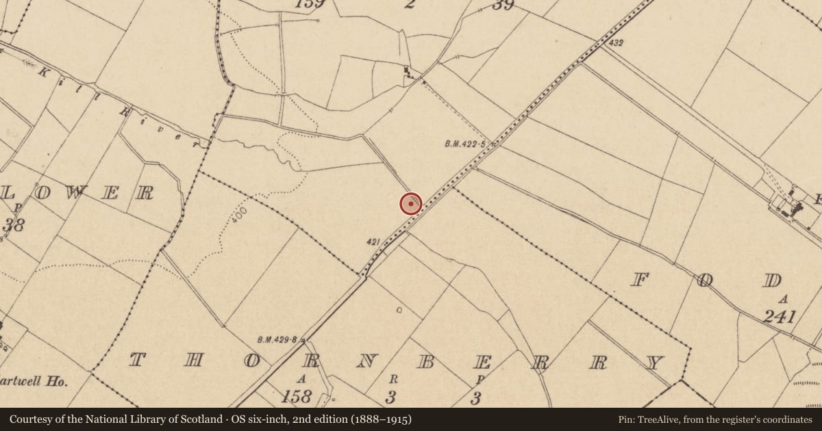 Ordnance Survey six-inch map, 2nd edition (1888–1915) covering the location of Architectural fragment, Rathgorragh, County Kildare, with a pin at the register's coordinates