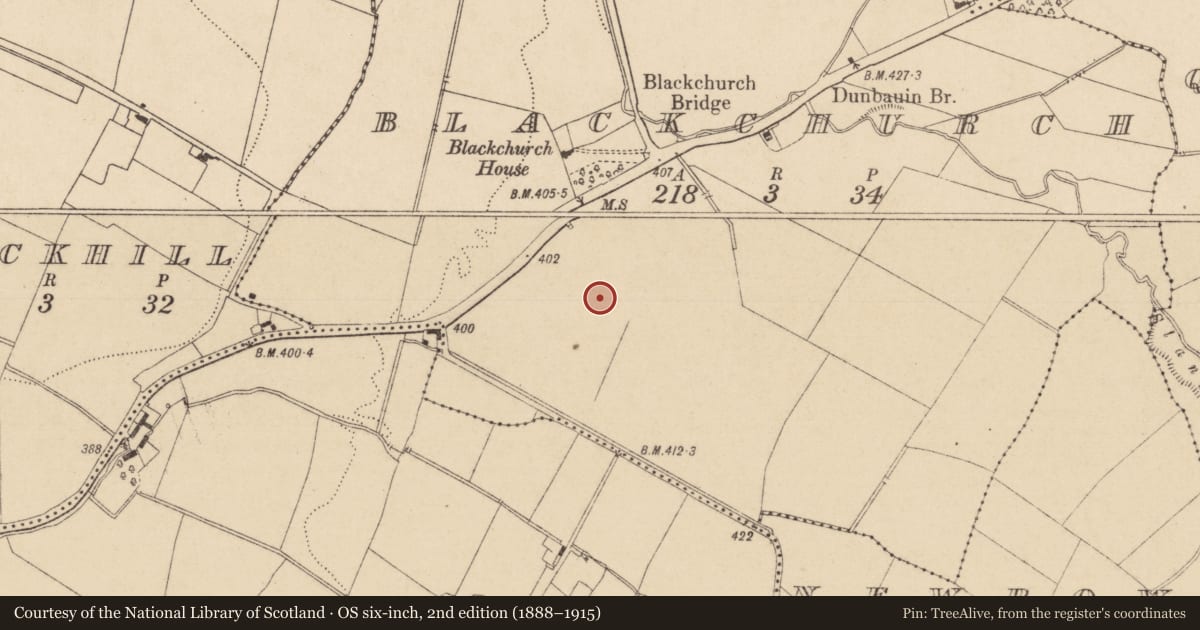 Ordnance Survey six-inch map, 2nd edition (1888–1915) covering the location of Habitation site, Blackchurch, County Kildare, with a pin at the register's coordinates