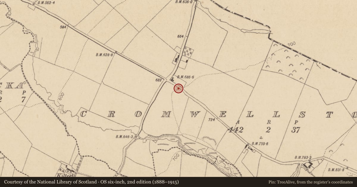 Ordnance Survey six-inch map, 2nd edition (1888–1915) covering the location of Barrow - embanked barrow, Cromwellstown, County Kildare, with a pin at the register's coordinates