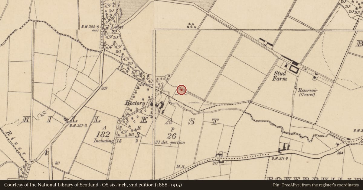 Ordnance Survey six-inch map, 2nd edition (1888–1915) covering the location of Linear earthwork, Bishopscourt Upper, County Kildare, with a pin at the register's coordinates