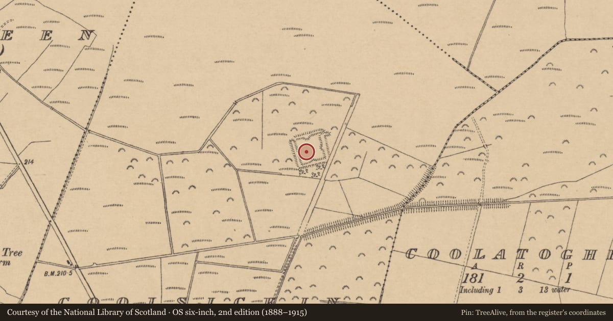 Ordnance Survey six-inch map, 2nd edition (1888–1915) covering the location of Decoy pond, Coolsickin Or Quinsborough, County Kildare, with a pin at the register's coordinates