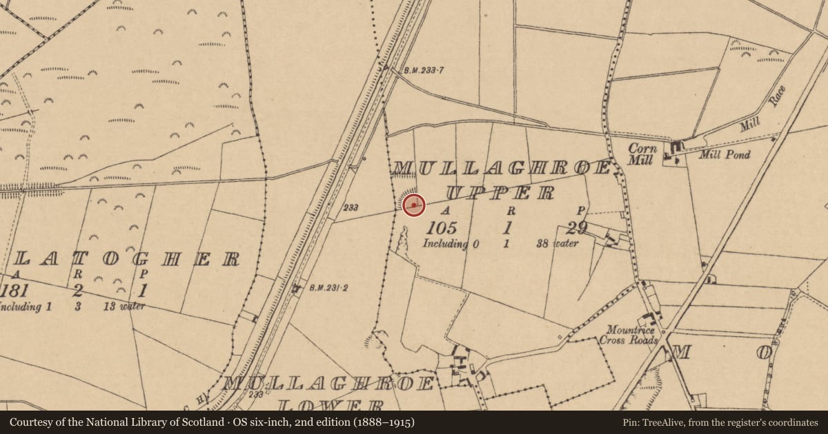 Ordnance Survey six-inch map, 2nd edition (1888–1915) covering the location of Ringfort - rath, Mullaghroe Upper, County Kildare, with a pin at the register's coordinates