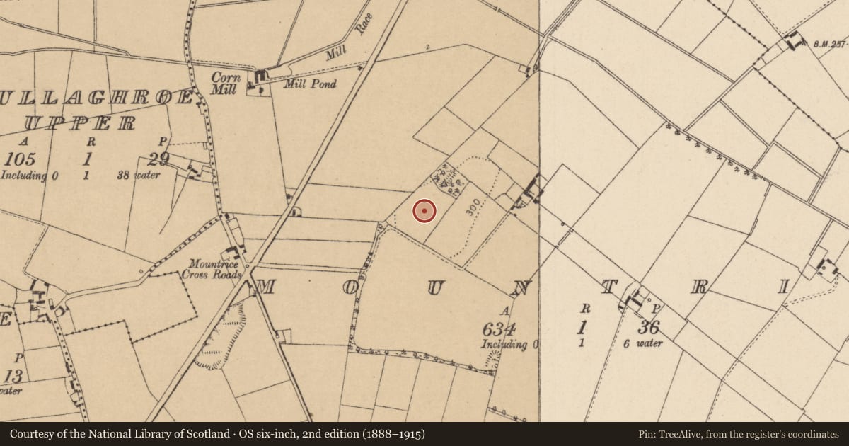 Ordnance Survey six-inch map, 2nd edition (1888–1915) covering the location of Burial, Mountrice, County Kildare, with a pin at the register's coordinates