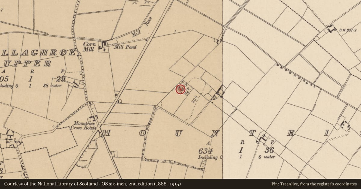 Ordnance Survey six-inch map, 2nd edition (1888–1915) covering the location of Mound, Mountrice, County Kildare, with a pin at the register's coordinates