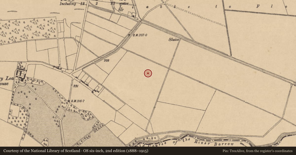 Ordnance Survey six-inch map, 2nd edition (1888–1915) covering the location of Enclosure, Derrylea, County Kildare, with a pin at the register's coordinates