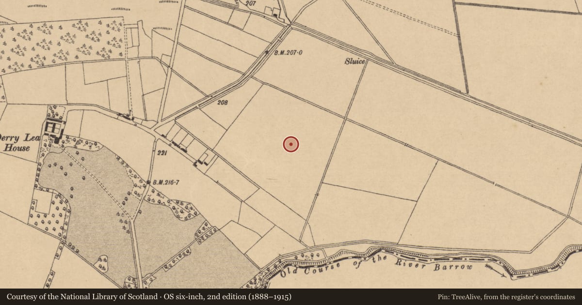 Ordnance Survey six-inch map, 2nd edition (1888–1915) covering the location of Enclosure, Derrylea, County Kildare, with a pin at the register's coordinates