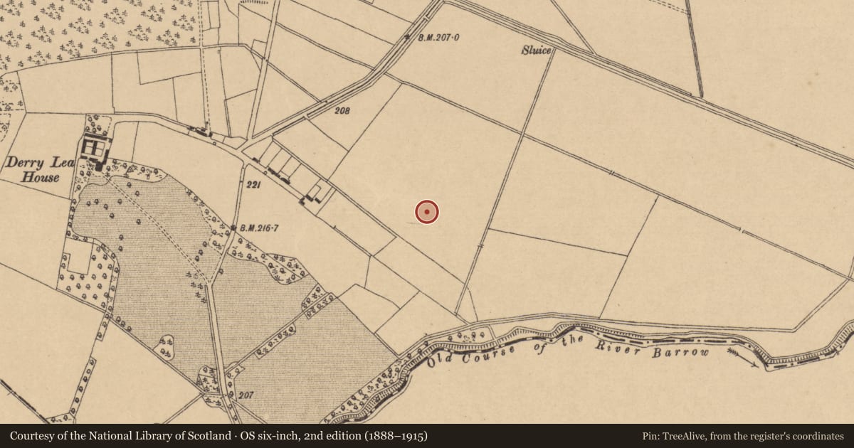 Ordnance Survey six-inch map, 2nd edition (1888–1915) covering the location of Enclosure, Derrylea, County Kildare, with a pin at the register's coordinates