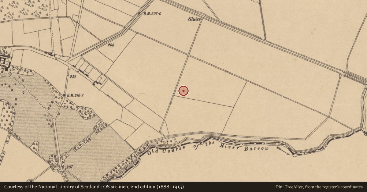 Ordnance Survey six-inch map, 2nd edition (1888–1915) covering the location of Enclosure, Derrylea, County Kildare, with a pin at the register's coordinates