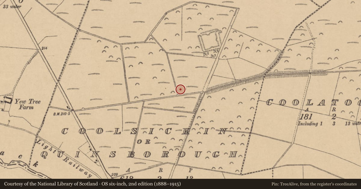 Ordnance Survey six-inch map, 2nd edition (1888–1915) covering the location of Enclosure, Coolsickin Or Quinsborough, County Kildare, with a pin at the register's coordinates