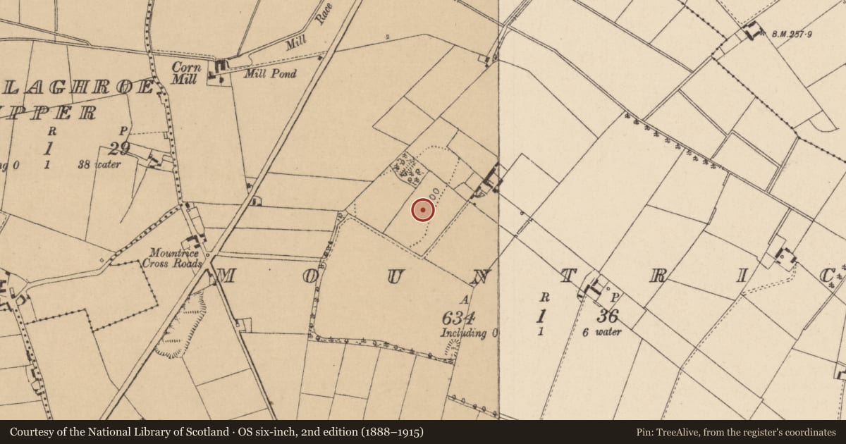 Ordnance Survey six-inch map, 2nd edition (1888–1915) covering the location of Enclosure, Mountrice, County Kildare, with a pin at the register's coordinates