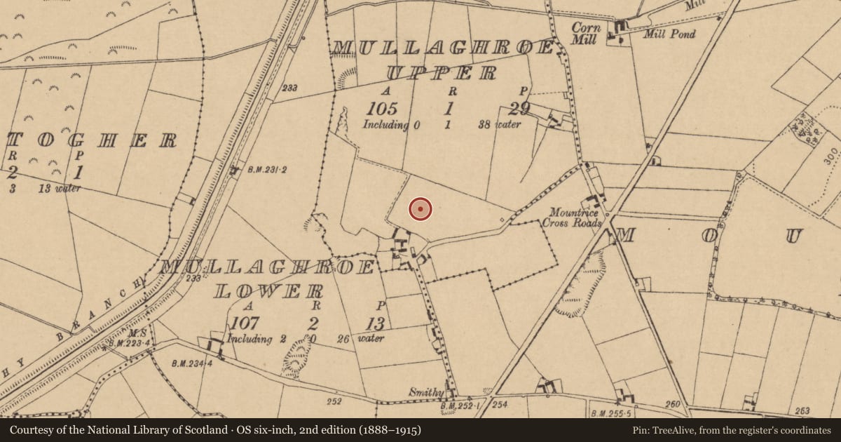 Ordnance Survey six-inch map, 2nd edition (1888–1915) covering the location of Enclosure, Mullaghroe Upper, County Kildare, with a pin at the register's coordinates