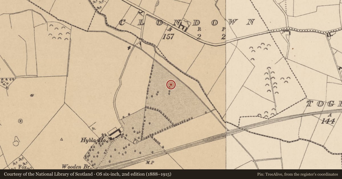 Ordnance Survey six-inch map, 2nd edition (1888–1915) covering the location of Field system, Hybla Or Ballyneage, County Kildare, with a pin at the register's coordinates