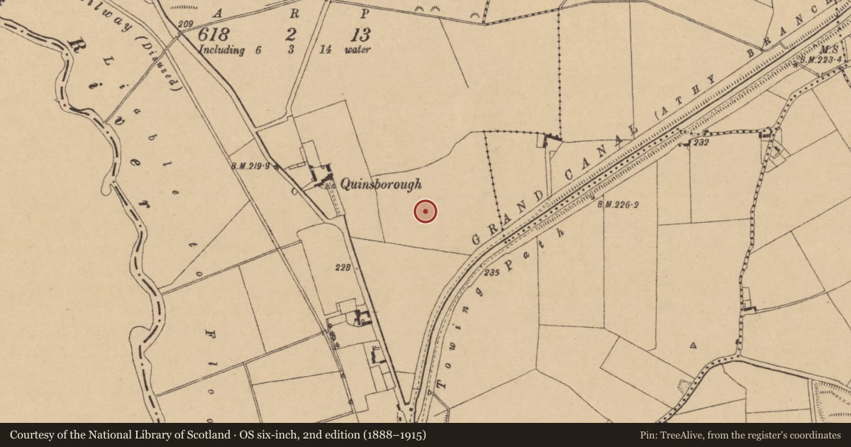 Ordnance Survey six-inch map, 2nd edition (1888–1915) covering the location of Enclosure, Coolsickin Or Quinsborough, County Kildare, with a pin at the register's coordinates