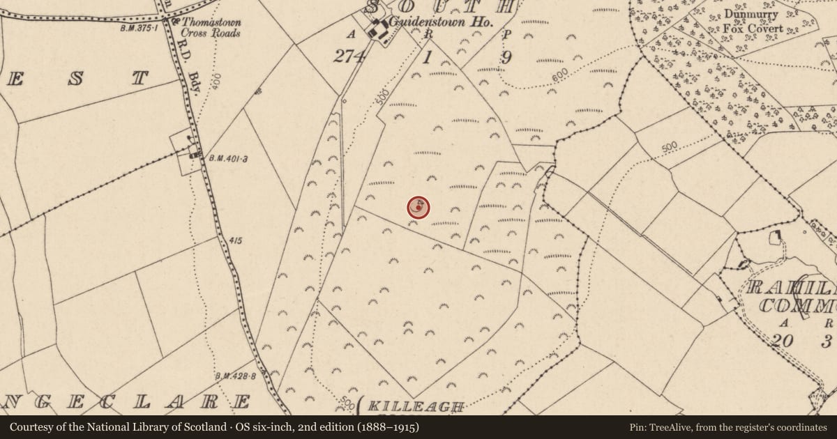 Ordnance Survey six-inch map, 2nd edition (1888–1915) covering the location of Enclosure, Guidenstown South, County Kildare, with a pin at the register's coordinates