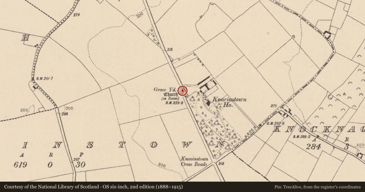 Ordnance Survey six-inch map, 2nd edition (1888–1915) covering the location of Graveyard, Knavinstown, County Kildare, with a pin at the register's coordinates