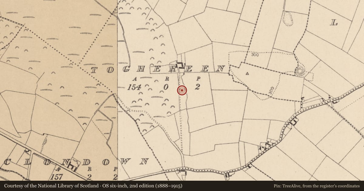 Ordnance Survey six-inch map, 2nd edition (1888–1915) covering the location of Fulacht fia, Toghereen, County Kildare, with a pin at the register's coordinates