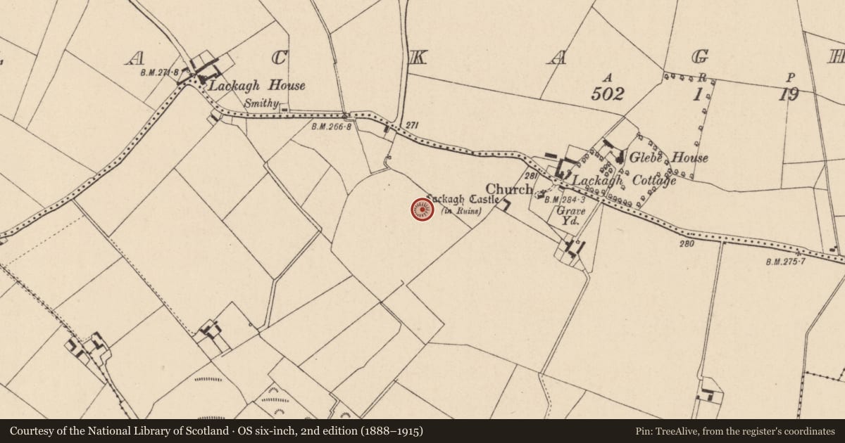 Ordnance Survey six-inch map, 2nd edition (1888–1915) covering the location of Castle - motte, Lackagh More, County Kildare, with a pin at the register's coordinates