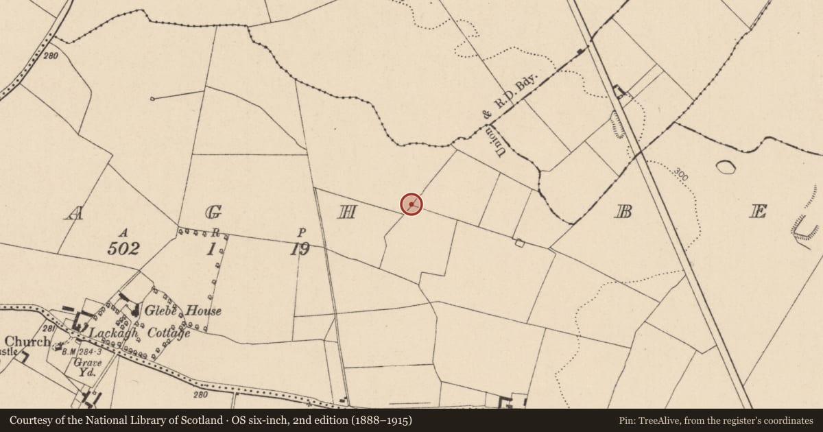 Ordnance Survey six-inch map, 2nd edition (1888–1915) covering the location of Fulacht fia, Lackagh Beg, County Kildare, with a pin at the register's coordinates
