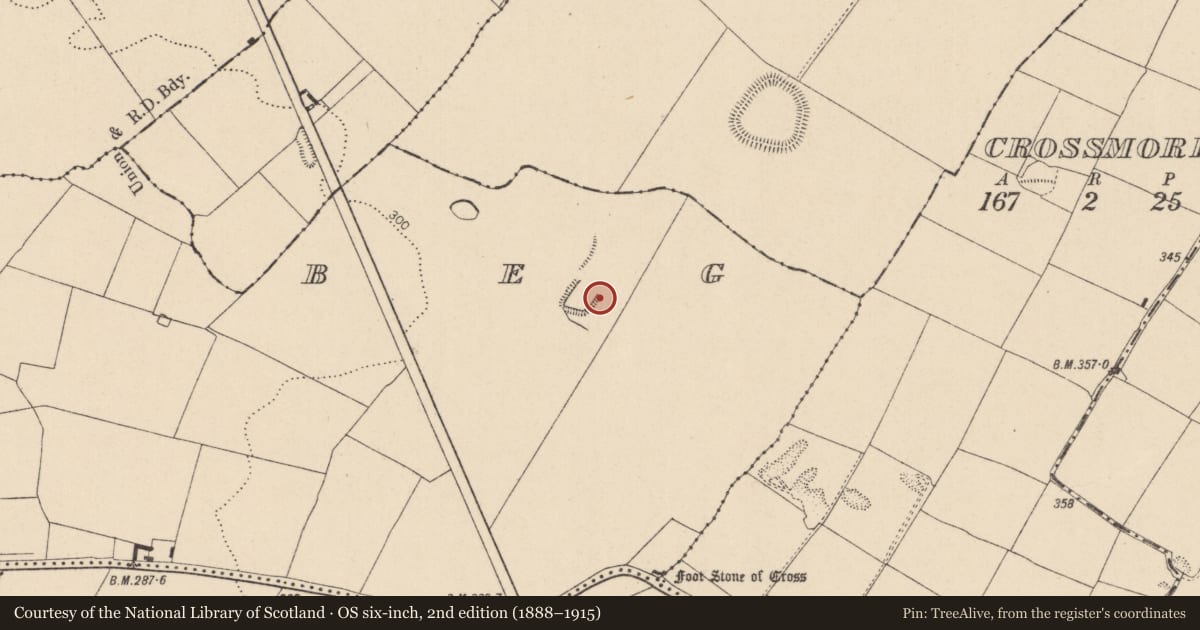 Ordnance Survey six-inch map, 2nd edition (1888–1915) covering the location of Enclosure, Lackagh Beg, County Kildare, with a pin at the register's coordinates