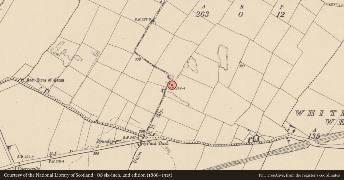 Ordnance Survey six-inch map, 2nd edition (1888–1915) covering the location of Burial, Kilnagornan, County Kildare, with a pin at the register's coordinates
