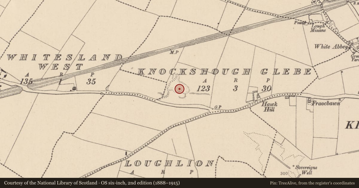 Ordnance Survey six-inch map, 2nd edition (1888–1915) covering the location of Burial, Knockshough Glebe, County Kildare, with a pin at the register's coordinates