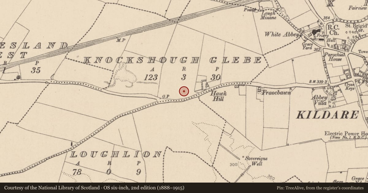 Ordnance Survey six-inch map, 2nd edition (1888–1915) covering the location of Burial, Knockshough Glebe, County Kildare, with a pin at the register's coordinates
