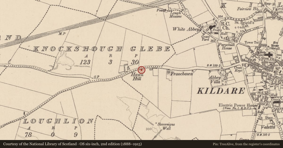 Ordnance Survey six-inch map, 2nd edition (1888–1915) covering the location of Burial, Knockshough Glebe, County Kildare, with a pin at the register's coordinates