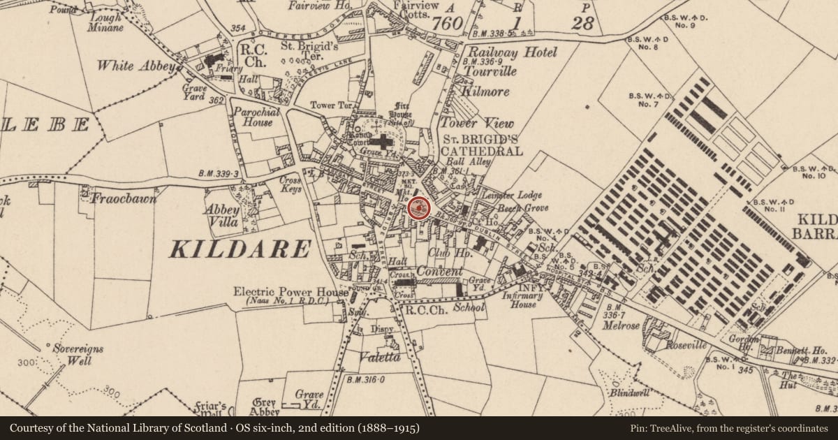 Ordnance Survey six-inch map, 2nd edition (1888–1915) covering the location of Historic town, County Kildare, with a pin at the register's coordinates