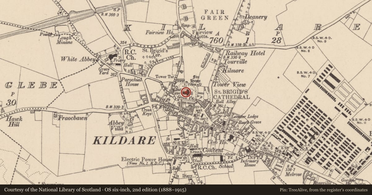 Ordnance Survey six-inch map, 2nd edition (1888–1915) covering the location of Graveyard, Kildare, with a pin at the register's coordinates