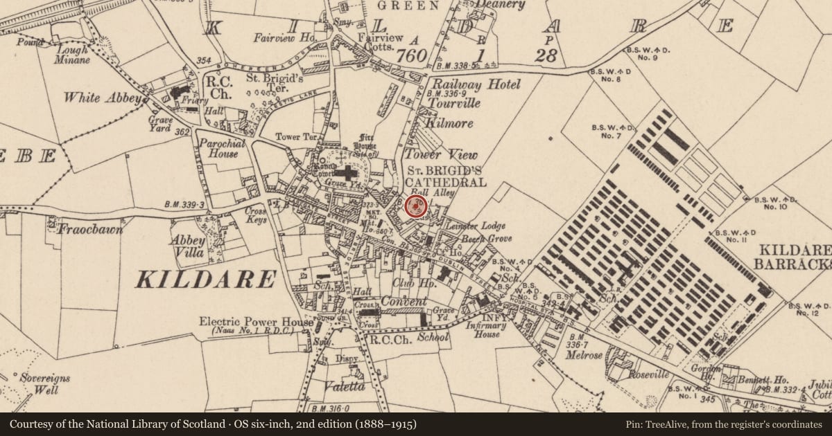 Ordnance Survey six-inch map, 2nd edition (1888–1915) covering the location of Castle - Anglo-Norman masonry castle, Kildare, with a pin at the register's coordinates
