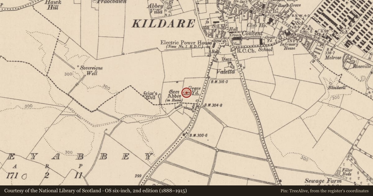 Ordnance Survey six-inch map, 2nd edition (1888–1915) covering the location of Religious house - Franciscan friars, Kildare, with a pin at the register's coordinates