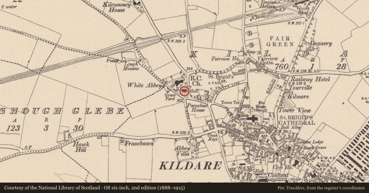 Ordnance Survey six-inch map, 2nd edition (1888–1915) covering the location of Religious house - Carmelite friars, Kildare, with a pin at the register's coordinates