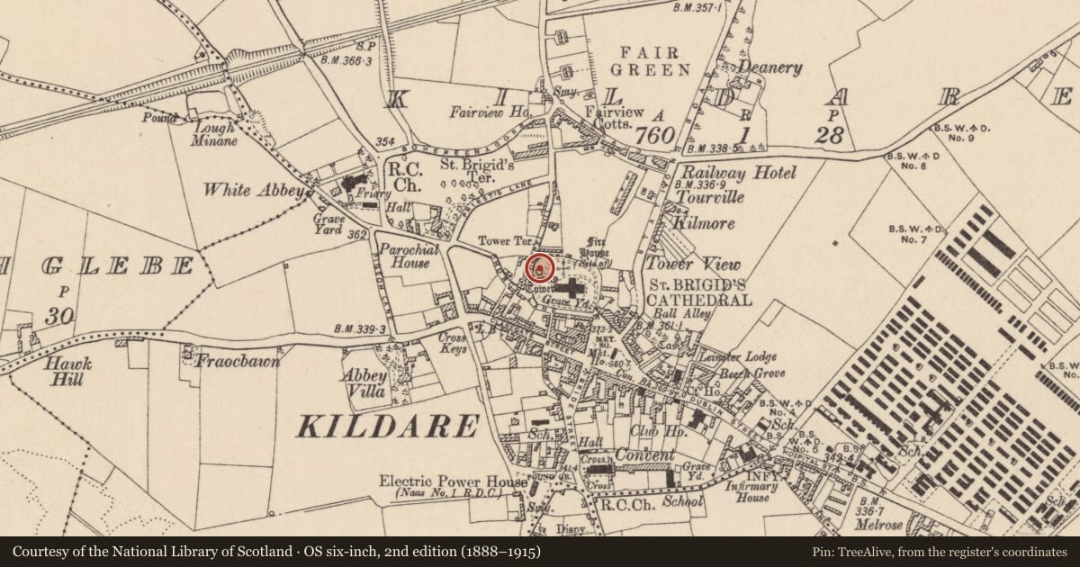 Ordnance Survey six-inch map, 2nd edition (1888–1915) covering the location of Round tower, Kildare, with a pin at the register's coordinates