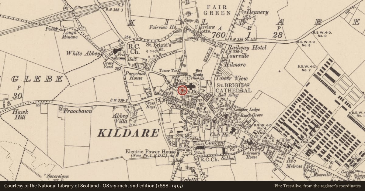 Ordnance Survey six-inch map, 2nd edition (1888–1915) covering the location of Cross - High cross, Kildare, with a pin at the register's coordinates