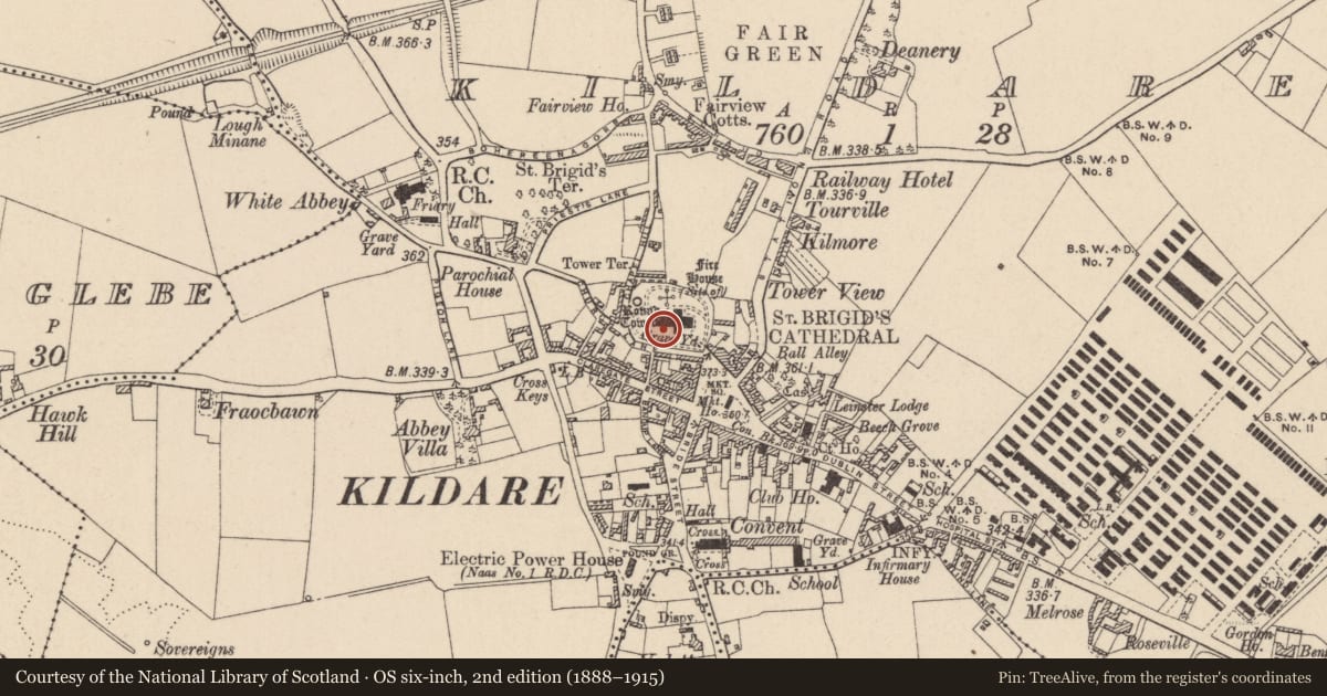 Ordnance Survey six-inch map, 2nd edition (1888–1915) covering the location of Cross, Kildare, with a pin at the register's coordinates