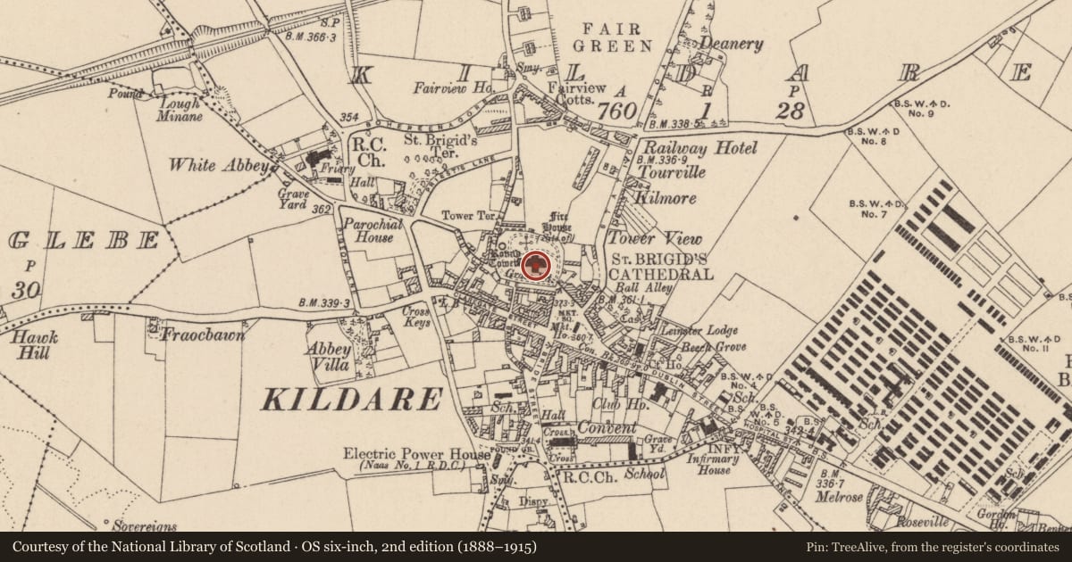 Ordnance Survey six-inch map, 2nd edition (1888–1915) covering the location of Graveslab, Kildare, with a pin at the register's coordinates