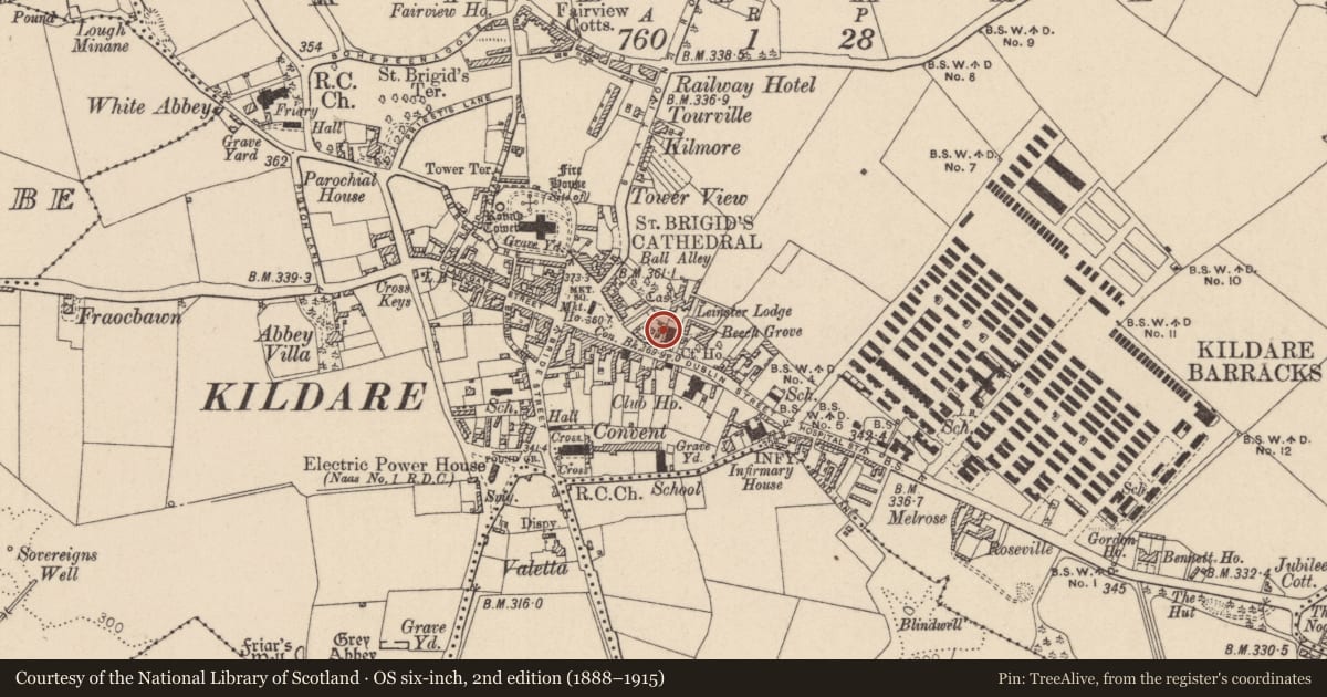 Ordnance Survey six-inch map, 2nd edition (1888–1915) covering the location of Castle - motte, Kildare, with a pin at the register's coordinates